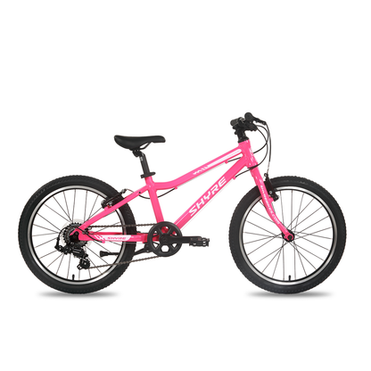 Shyre Hopton 20" Wheel Hybrid Kids Bike