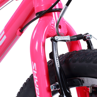 Shyre Hopton 20" Wheel Hybrid Kids Bike