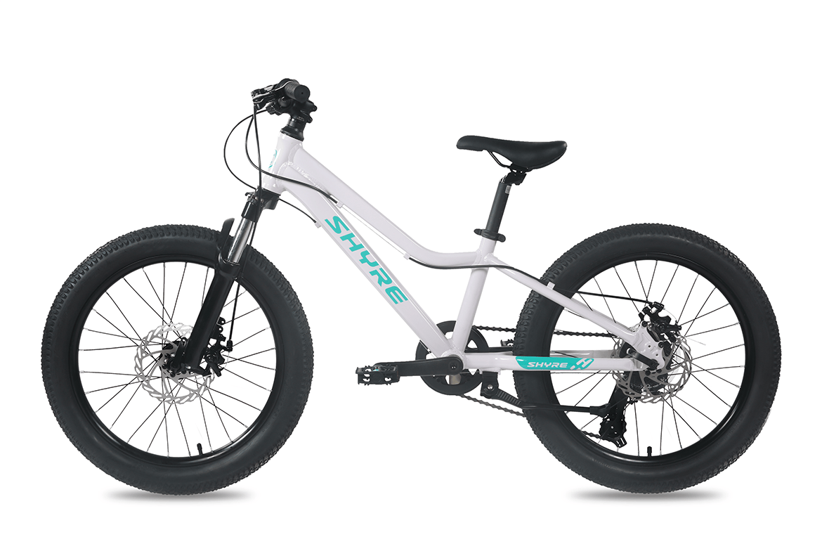 Shyre Eastie 20" Wheel Kids Mountain Bike