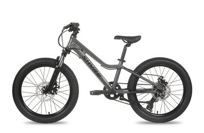 Shyre Eastie 20" Wheel Kids Mountain Bike