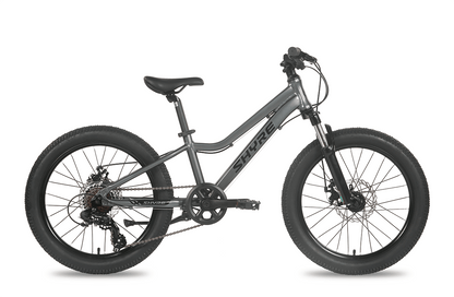 Shyre Eastie 20" Wheel Kids Mountain Bike