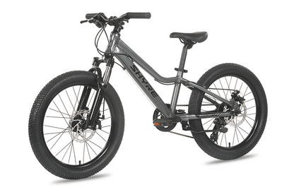 Shyre Eastie 20" Wheel Kids Mountain Bike