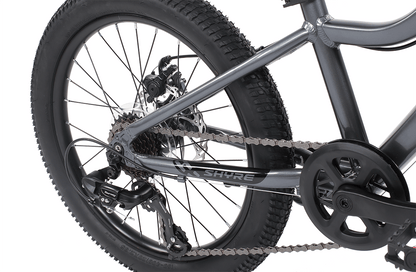 Shyre Eastie 20" Wheel Kids Mountain Bike